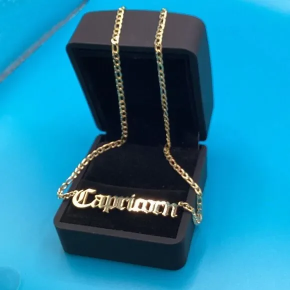 ⭐️🌙Capricorn Zodiac Nameplate on 14k Gold plated Figaro Chain⭐️🌙